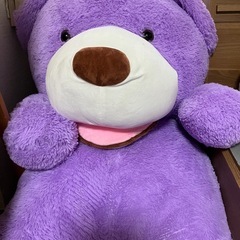 クマのぬいぐるみ