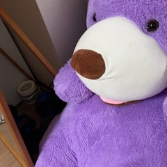 クマのぬいぐるみの画像