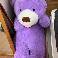 クマのぬいぐるみの画像