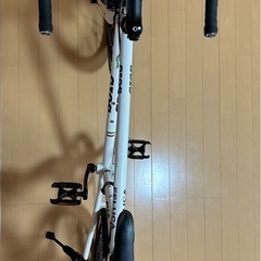 ミニベ ロード ドロップハンドル GIOS（ジオス） 2020年モデル FELUCA の画像
