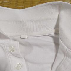 式服　長袖の画像