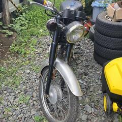 SUZUKI  コレダ50の画像