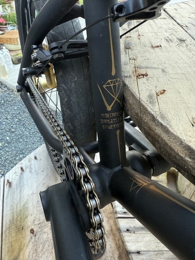 【お取引決定】BMX 自転車　WETHEPEOPLE 2011 ELITE 「ENVY」 