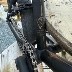 WETHEPEOPLE 2011 ELITE 「ENVY」 の画像