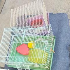 ハムスター 飼育ゲージ 飼育ケースの画像
