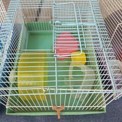 ハムスター 飼育ゲージ 飼育ケースの画像
