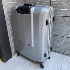 超大型スーツケース75の50の30センチの画像