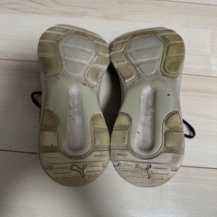 PUMA プーマ シューズ 23cmの画像