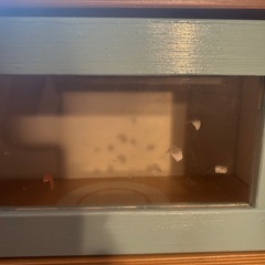 キッズ　キッチン　IKEAの画像