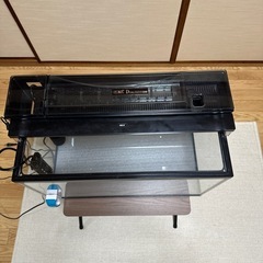 60センチ　GEX水槽フルセット の画像