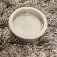 EXO TERRA他　レオパなど餌入れ　水入れ　4個の画像