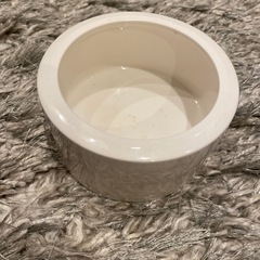 EXO TERRA他　レオパなど餌入れ　水入れ　4個の画像