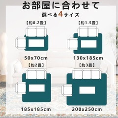 ペルシャ風ラグカーペットの画像