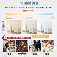 シーリングライト　6畳用の画像