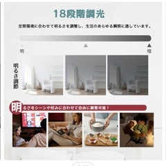 シーリングライト　6畳用の画像