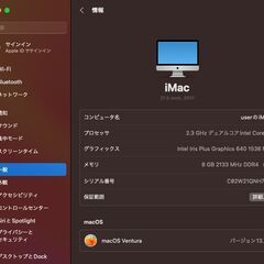 iMac（21.5インチ,2017）HDD1TB/8GB〈MMQA2J/A〉⑤の画像