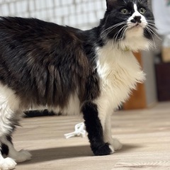 人が大好きな優しい子