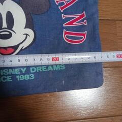東京ディズニーランド巾着の画像