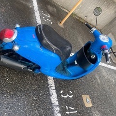 ホンダ ジョルノ HONDA GIORNO (AF70)の画像