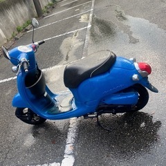 ホンダ ジョルノ HONDA GIORNO (AF70)の画像