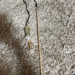 猫のおもちゃ4点セットの画像