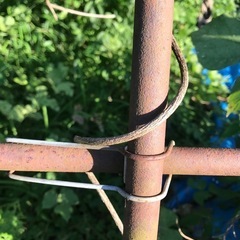 ビニールハウス　骨組みの画像