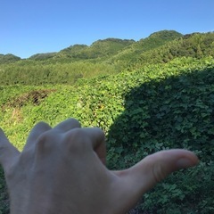 ビニールハウス　骨組みの画像