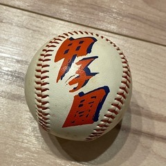 甲子園 記念ボール 80回大会の画像
