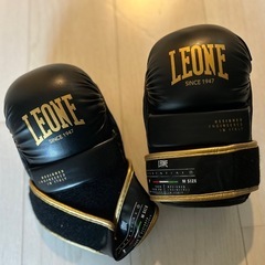 MMAグローブの画像