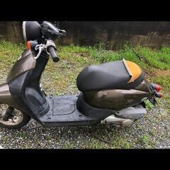 AF67 トゥデイ インジェクションの画像