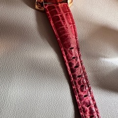【動作品】ガガミラノ マヌアーレ40 5021.10 手巻き式の画像