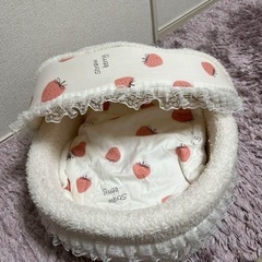 ペット ベッドの画像