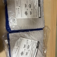 トゥルースリーパー低反発座布団　2個セットの画像