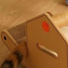 猫の爪とぎの画像