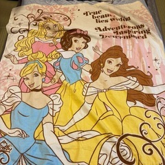 プリンセス　タオルケット　毛布の画像