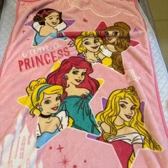 プリンセス　タオルケット　毛布の画像