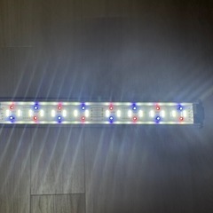 GEX CLEAR LED POWER Ⅲ 60cmの画像