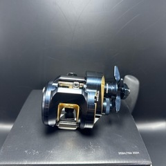 ダイワ 25ソルティガ 300H
の画像
