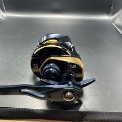 ダイワ 25ソルティガ 300H
の画像
