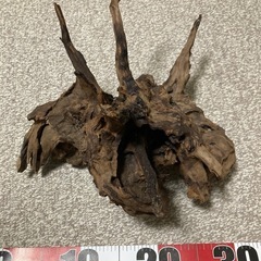 流木　熱帯魚用など
の画像