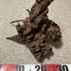 流木　熱帯魚用など
の画像