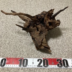 流木　熱帯魚用など
の画像