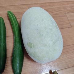 お盆のお野菜６点の画像