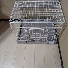 小型犬子猫のゲージの画像