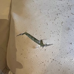 革 ソファの画像