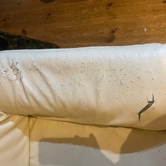 革 ソファの画像