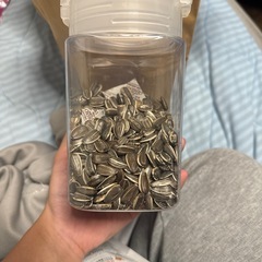 ハムスターが亡くなり置いておくのが悲しいので買って頂けると嬉しいです。の画像