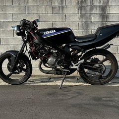 TZR50R 4EU  68.8ccボア VM20キャブ TZMラジエータの画像
