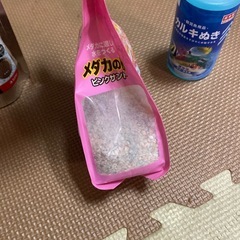 メダカの飼育
セットの画像
