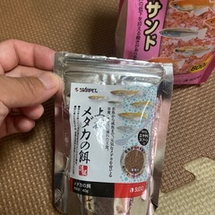 メダカの飼育
セットの画像